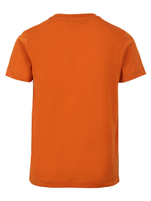 Футболка Salewa Graphic Dry Burnt Orange