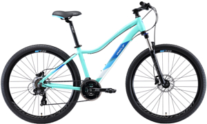 Велосипед Welt Edelweiss 1.0 HD 27 2020 Matt Mint Green/Blue