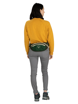 Поясная сумка Osprey Daylite Waist Blue Spikemoss/Alkaline