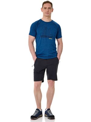 Футболка Icepeak Destin Navy Blue