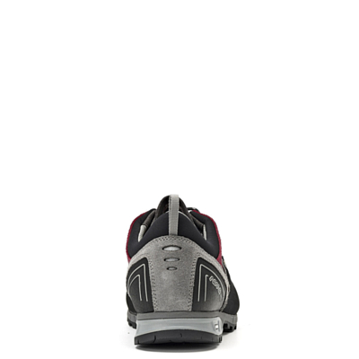 Ботинки Asolo Apex Gv Donkey/Gerbera