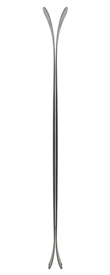 Горные лыжи FISCHER Ranger 108