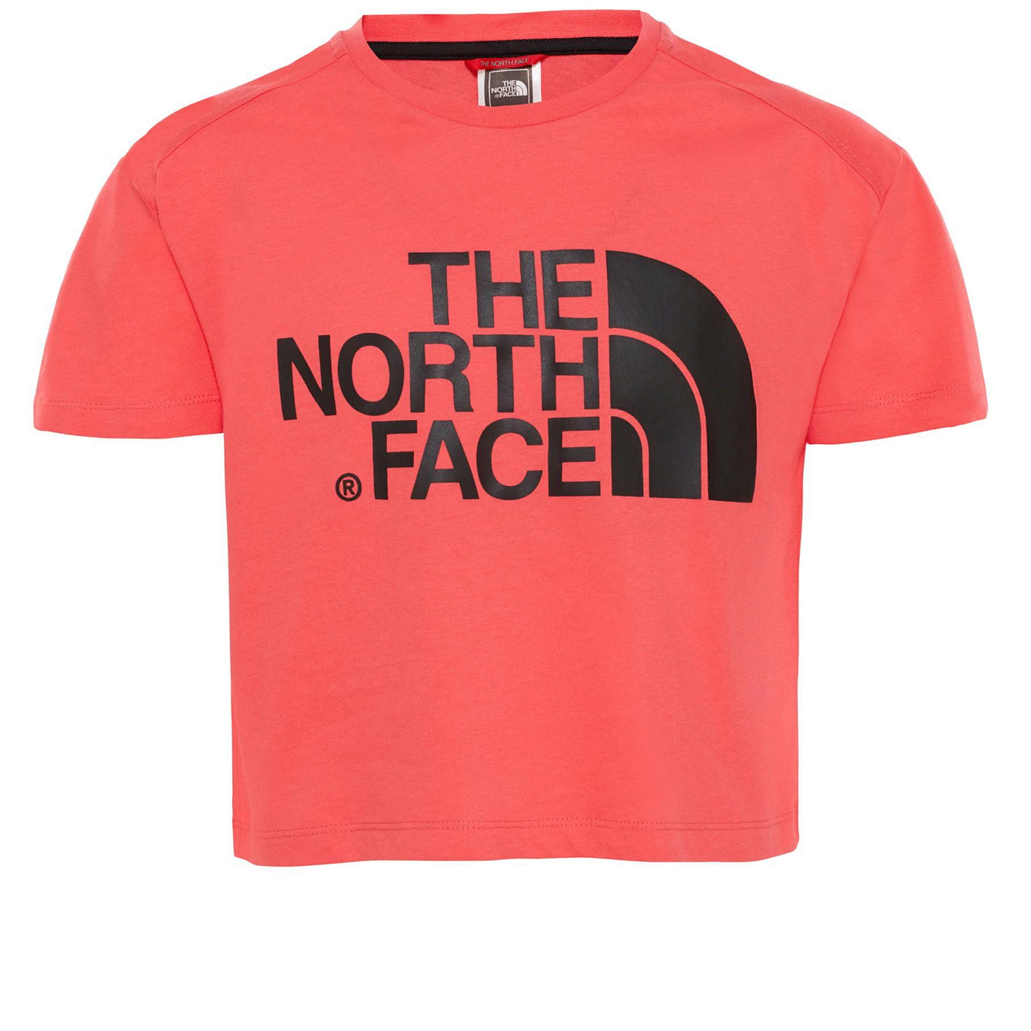 Футболка для активного отдыха The North Face 2019 G Cropped S/S Atomic Pink