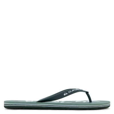 Пантолеты Quiksilver Molokai Screen Зеленый