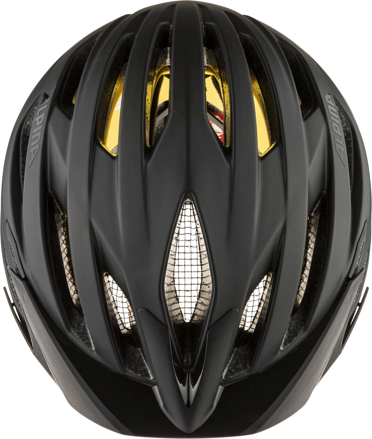 Alpina bike helmet discount
