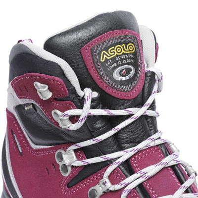 Ботинки Asolo Greenwood Evo Gv Ml Grapeade