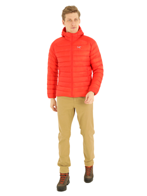 Куртка Arcteryx 2022-23 Cerium LT Hoody Dynasty