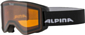 Очки горнолыжные Alpina 2022-23 Narkoja Black