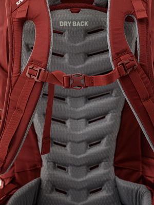 Рюкзак Salewa Alptrek 38+5 Pompeian Red/Syrah