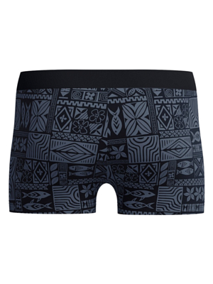 Плавки Speedo Valmilton Alov Asht Am Black