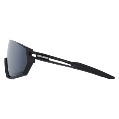 Очки солнцезащитные Salice 029Q Black/Quattro S4