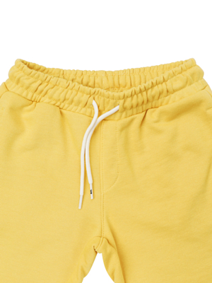 Шорты Quiksilver Easydshyth B Otlr XYYB