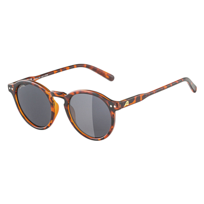 Очки солнцезащитные ALPINA Sneek Havana Gloss/Black Cat.3