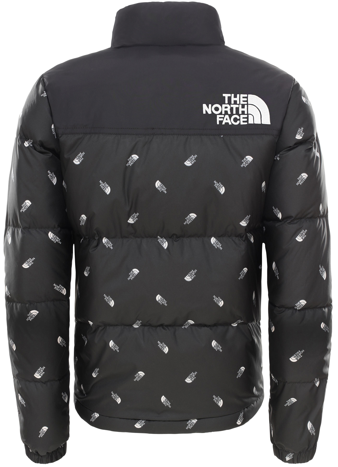 Куртка горнолыжная детская The North Face 2019-20 Y Retro Nuptse TNF Black Tossed Logo Prt