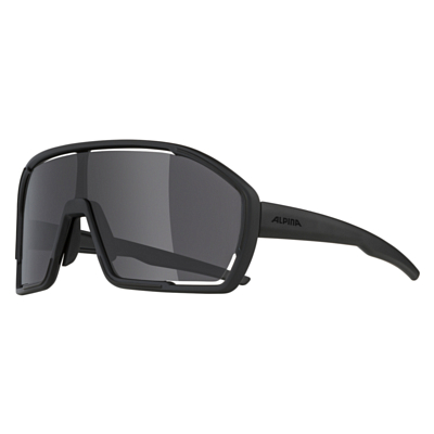 Очки солнцезащитные ALPINA Bonfire All Black Matt/Black Cat. 3, Fogstop