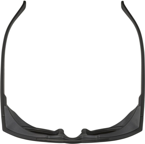 Очки солнцезащитные ALPINA Glace All Black Matt/black mirror Cat. 3, side part black matt