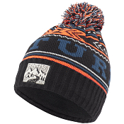 Шапка Picture Organic 2018-19 DONNIE Beanie C Corail