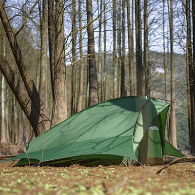 Палатка Naturehike Flying fish 2 man tent Green
