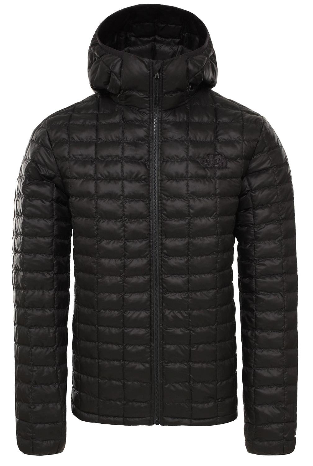 Куртка The North Face Thermoball Eco Hoo M Black