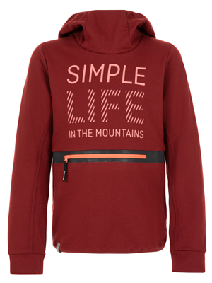 Толстовка детская Salewa Simple Life Dry Hoodie Syrah