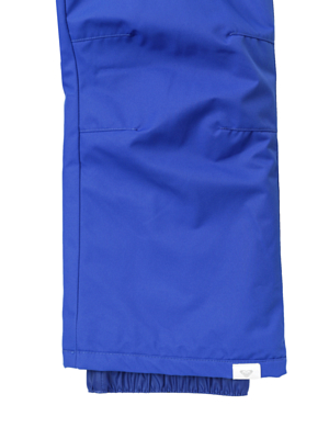 Брюки сноубордические Roxy Lola Mazarine blue