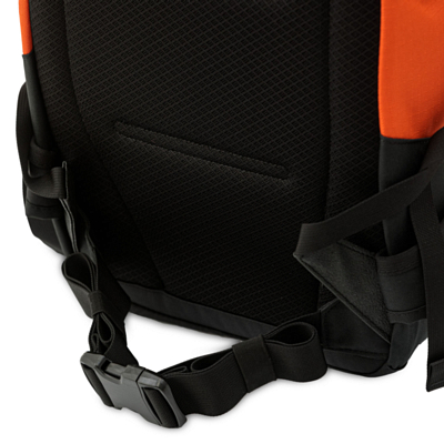 Рюкзак Dakine Heli Pro 20L Pureed Pumpkin