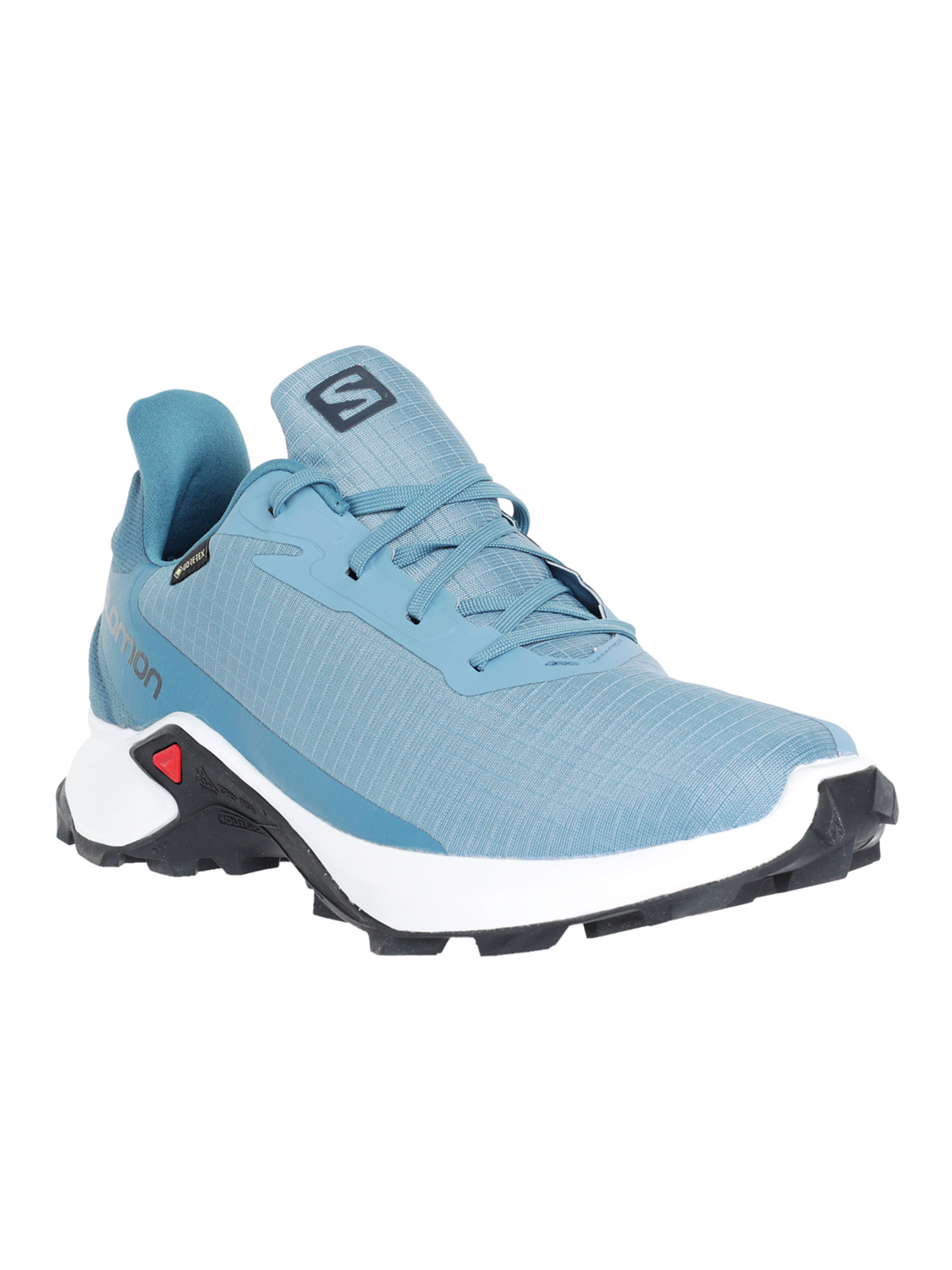 Кроссовки SALOMON Alphacross 3 Gtx W Bluest/White