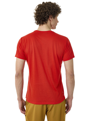 Футболка Salewa Solid Logo Dry Flame