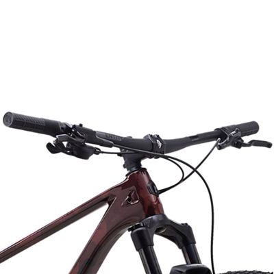 Велосипед Polygon Syncline C3 29 2025 Brown