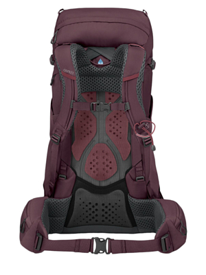 Рюкзак Osprey Kyte 38 Elderberry Purple