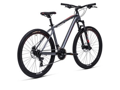 Велосипед Welt Raven 1.0 HD 29 Anthracite