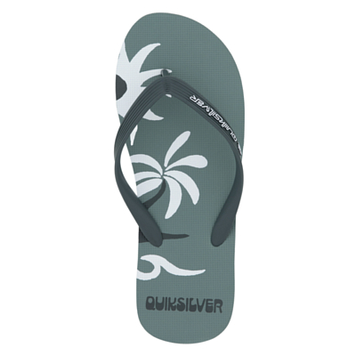 Пантолеты Quiksilver Molokai Screen Зеленый