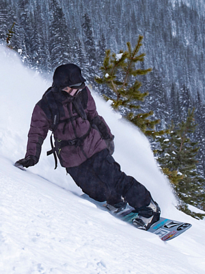 Куртка сноубордическая Volcom Puffleup Blackberry