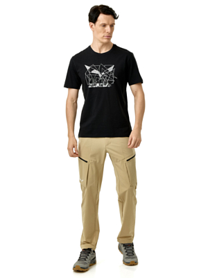 Футболка Salewa Eagle Geometric Black Out