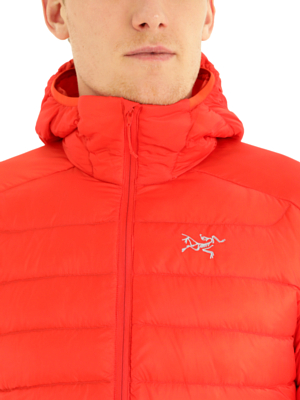 Куртка Arcteryx 2022-23 Cerium LT Hoody Dynasty
