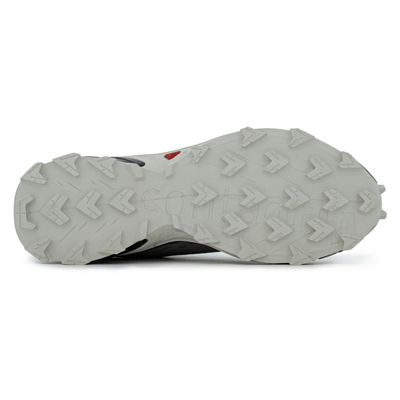 Кроссовки SALOMON Alphacross 5 Pewter/Black/Ghost Gray
