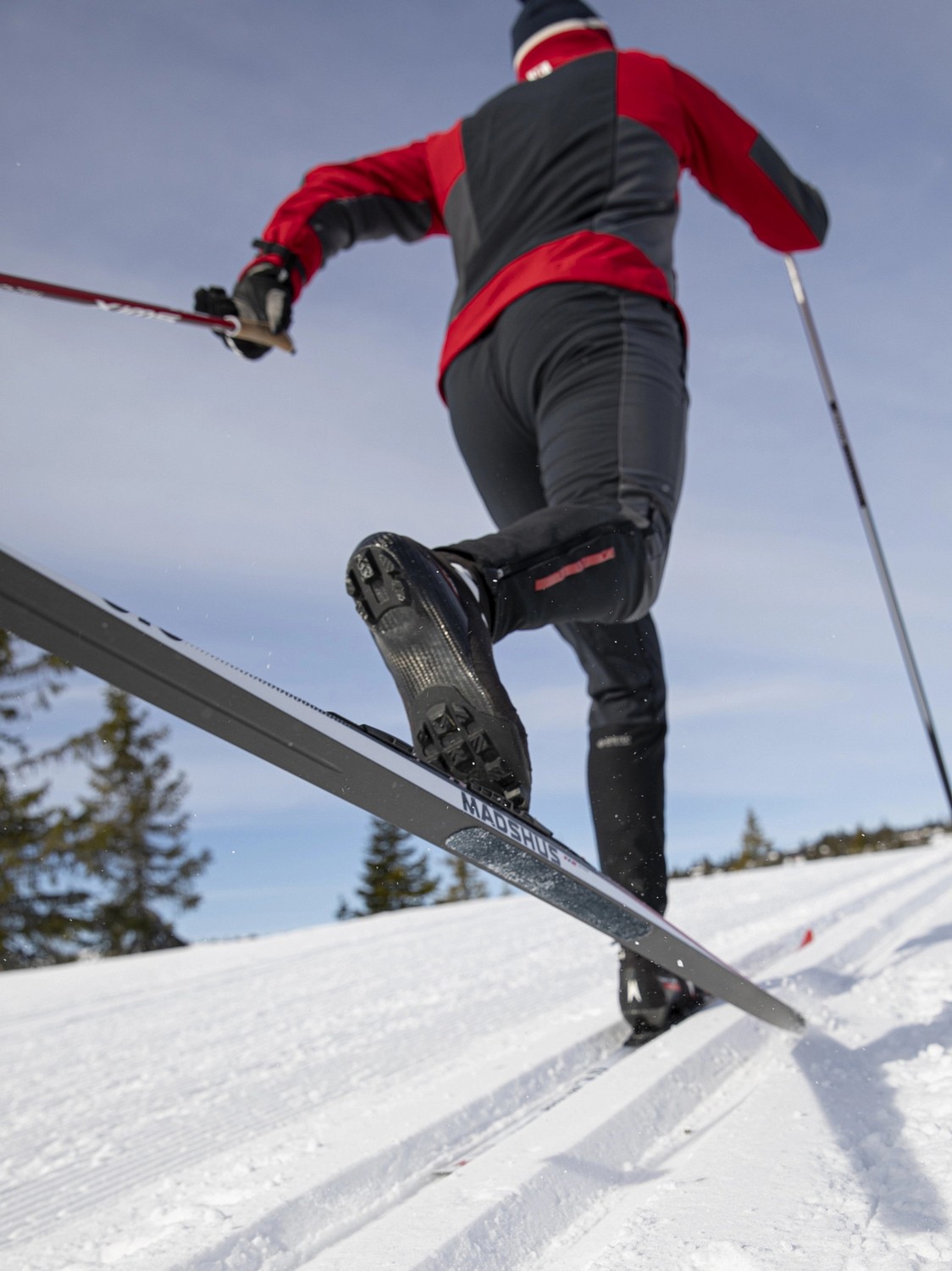 Беговые лыжи MADSHUS 2021-22 Race Pro Skin Hard – купить по цене 38999 ...