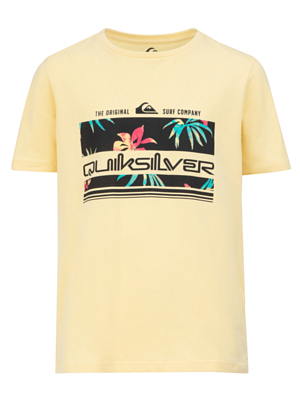 Футболка Quiksilver Tropicalrainyth Mellow Yellow