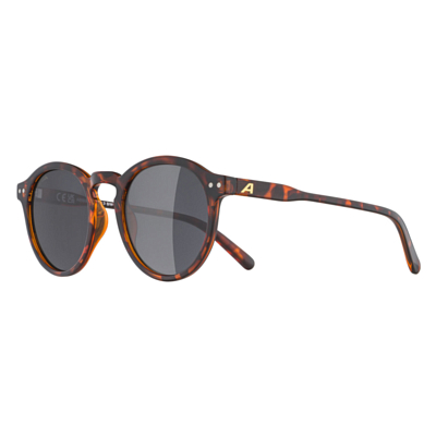 Очки солнцезащитные ALPINA Sneek Havana Gloss/Black Cat.3
