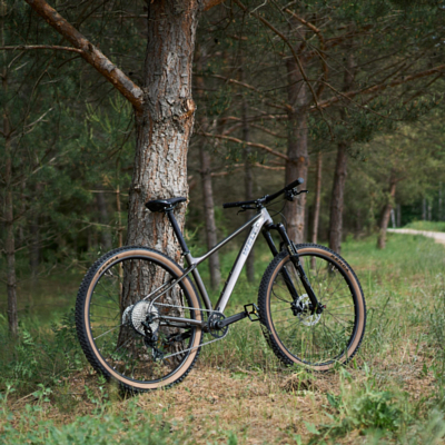 Велосипед Welt Rambler 1.0 Luxury Graphite