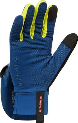 Перчатки Bjorn Daehlie Glove Rush Estate Blue