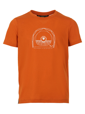 Футболка Salewa Graphic Dry Burnt Orange
