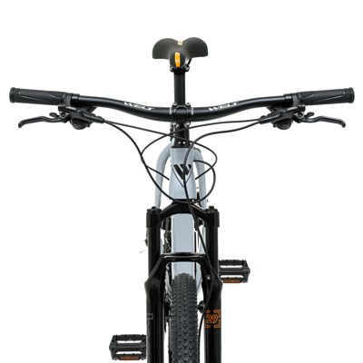 Велосипед Welt Raven 1.0 HD 29 Light Grey