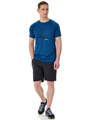 Футболка Icepeak Destin Navy Blue