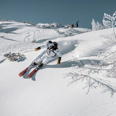 Горные лыжи ELAN Ripstick 116