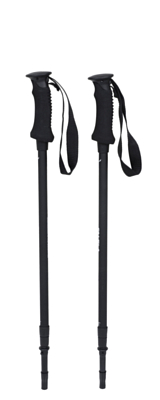 Палки треккинговые Salewa Puez Aluminum Black