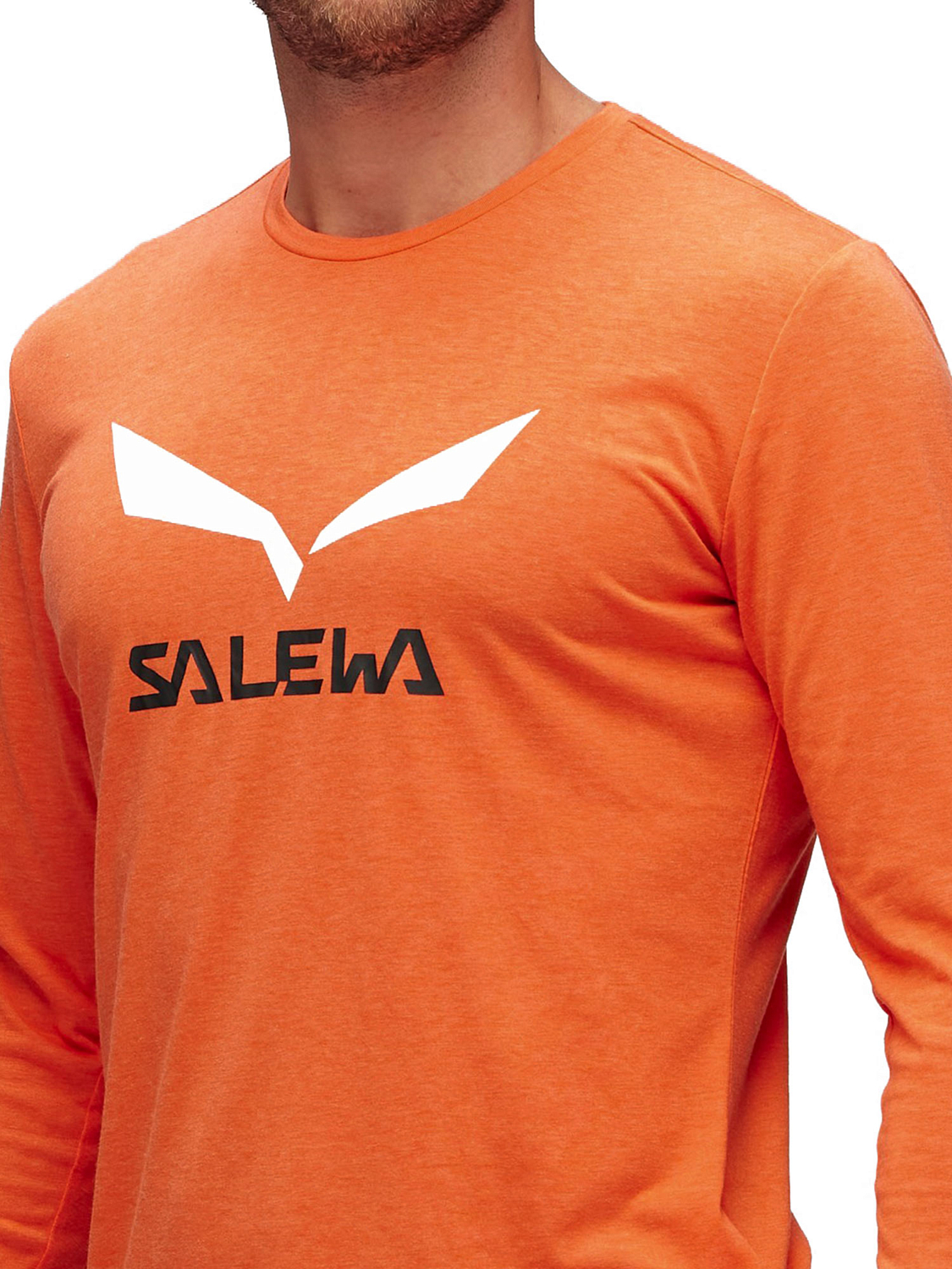 Футболка с длинным рукавом для активного отдыха Salewa Solidlogo Dry Men's L/S Tee Red Orange Melange
