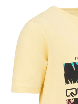 Футболка Quiksilver Tropicalrainyth Mellow Yellow