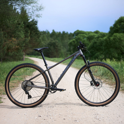 Велосипед Welt Rambler 1.0 Luxury Graphite