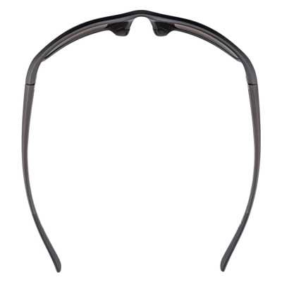 Очки солнцезащитные ALPINA Defey Tin-Black Matt/Brown Mirror Cat.3